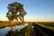 Morning view of the irrigation canal, a tree reflected in the water surface of the canal and a bicycle on the country road.