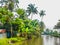 Morning view at Kerala backwaters