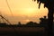 Morning view in a rural area in large farm in punjab india