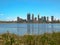 Morning view of the skyline of perth and flowers growing beside the swan river
