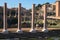 Morning view to Roman Forum. Ancient ruins and columns. Rome, Italy