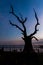 Morning view of U Bein bridge over Taungthaman lake in Amarapura near Mandalay, Myanm