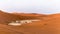 Morning visit of Deadvlei with its multicentenary trees acacias that have dried on site