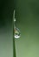 Morning waterdrops on a grass leaves