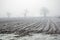 A morning in winter a plough field and trees in the mist.in Abeenshire,Scotland,UK.