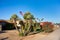 Morning at Xeriscaped Arizona Residential Street