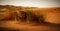 A moroccan desert scenery with desert grass plantation, dunes on