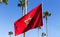 Moroccan flag flying amongst palm trees