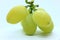 Moroccan green grapes in light box