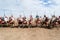 Moroccan horse riders in Fantasia performance