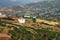 Moroccan landscape with fields in the springtime