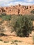 Moroccan Medina in the Sahara II