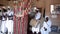 Moroccan musicians plays some traditional song in Morocco