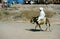 Moroccan rural image