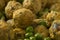 Moroccan style minced chicken balls and green peas