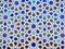 Moroccan style wall with colorful mosaic tiles at the Mohammed V mausoleum in Rabat Morocco