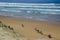 Morocco, Africa, Atlantic Ocean, waves, mule, workers, beach, Essaouira, people