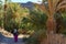 Morocco. Fint Oasis. A poor peasant woman walking through the palm grove