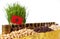 Morocco flag waving with stack of money coins and piles of wheat