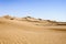 Morocco, Hamada du Draa, sand dunes