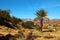 Morocco landscape contrast with palm trees