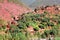 Morocco, : landscape of Ourika valley