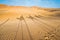 Morocco, Merzouga: shadows of a camel caravan