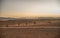 In Morocco, a North African country, children here are playing football on a crude court