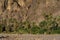 Morocco. Oasis of Fint. Muslim men praying near the palm groove