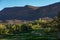 Morocco. Oasis of Fint. River and palm groove, the minaret of the village in the background