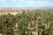 Morocco valley landscape