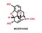 Morphine chemical formula. Morphine chemical molecular structure. Vector illustration