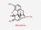 Morphine chemical formula. Morphine structural chemical formula isolated on transparent background.