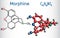 Morphine molecule. It is a pain medication of the opiate. Structural chemical formula and molecule model