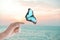 Morpho butterfly flying away from woman near sea at sunset, closeup
