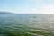 Morro Bay estuary overview, area where saltwater and freshwater meet. Kayaking Morro Bay