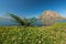 Morro Bay State park, California Coastline.