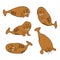 Morses. Cartoon cute characters walruses avatars vector collection.