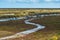 Morston salt Marshes