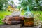 Mortar of healing herbs, bottle of healthy essential oil or infusion, old books and bunch of chamomile plant.