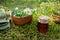 Mortar of medicinal herbs, jar of salve or balm, basket of healing plants on forest moss outdoors