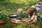 Mortar of medicinal herbs, old book, infusion bottle, basket and magnifying glass on a green moss in forest.