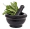 Mortar and pestle with sage