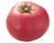 Mortgage lifter heirloom pink tomato isolated