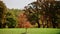 Morton Arboretum Fall Foliage #7