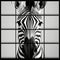 Mosaic Composition: A Photorealistic Zebra In Monochrome Canvases