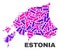 Mosaic Estonia Map of Dots and Lines