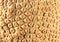 Mosaic of hard coral - honeycomb coral