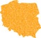 Mosaic Map of Poland - Gold Collage of Debris Items in Yellow Tones