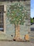 Mosaic picture of tree on building wall